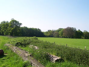 94dccfeecde47162-5