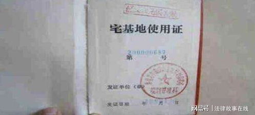 get_img-196